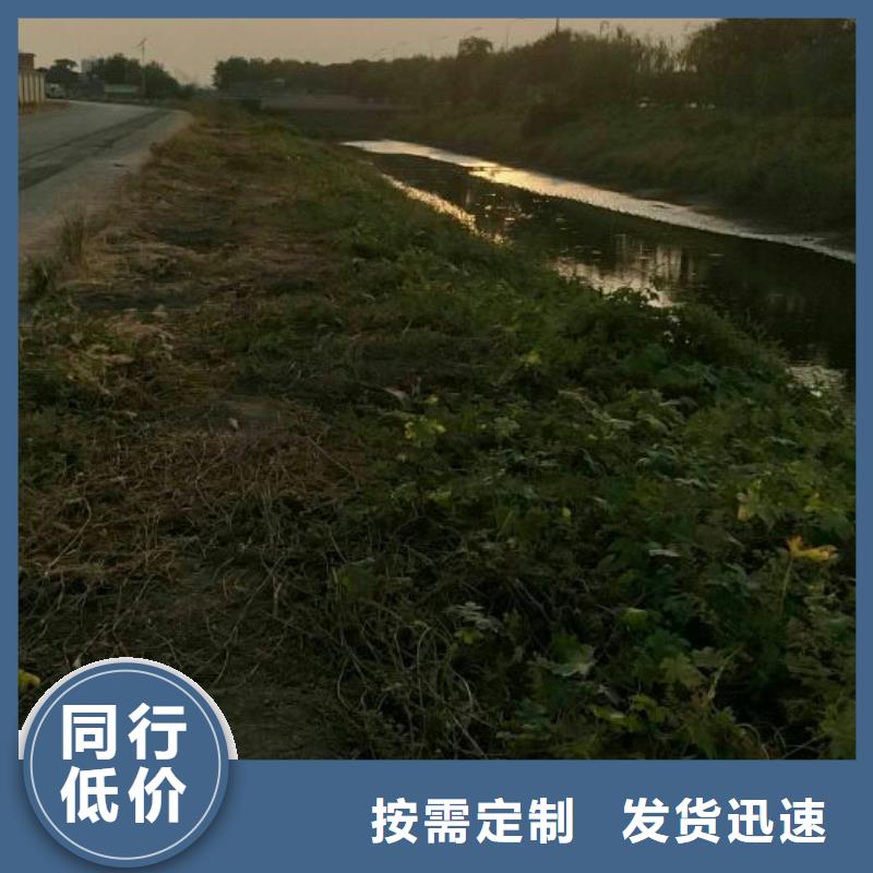 污泥处理生态沙土抑尘剂现货充足
