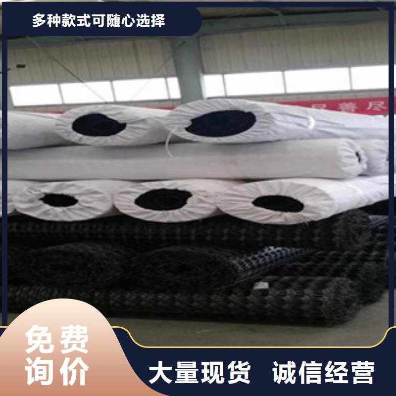 双向塑料格栅塑料土工格栅实力见证