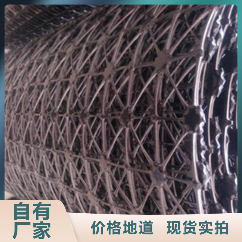 钢塑土工格栅三维植被网一手货源源头厂家