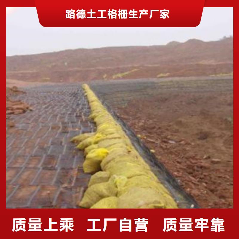 单向塑料格栅玻纤土工格栅优选好材铸造好品质