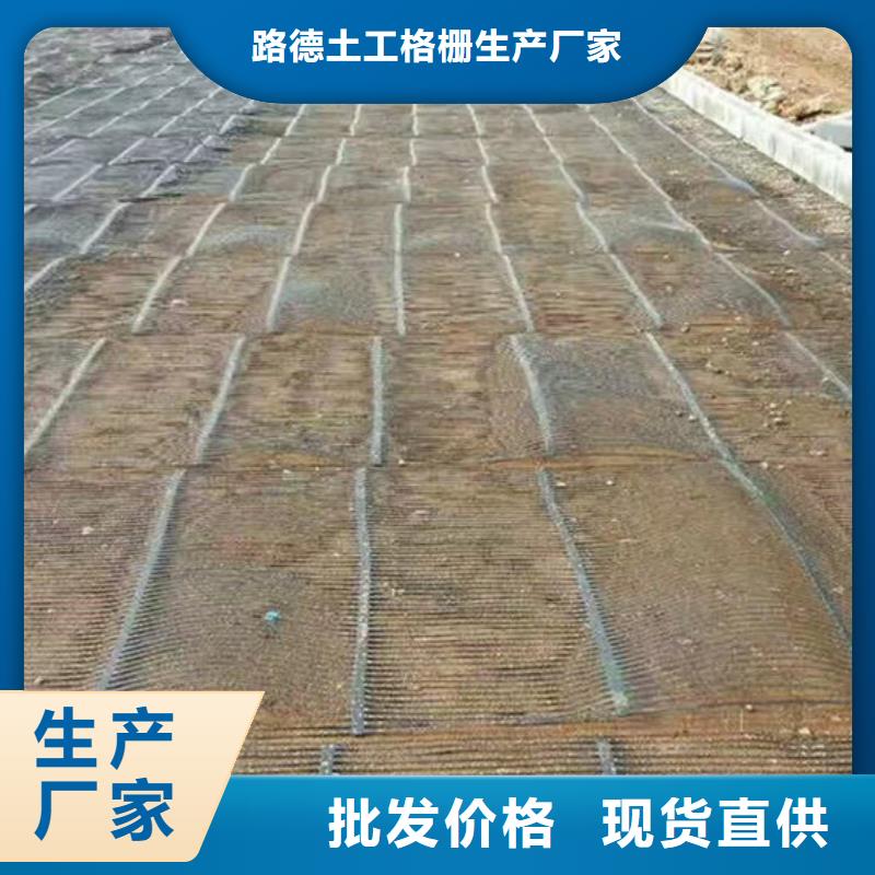 单向塑料格栅玻纤土工格栅优选好材铸造好品质