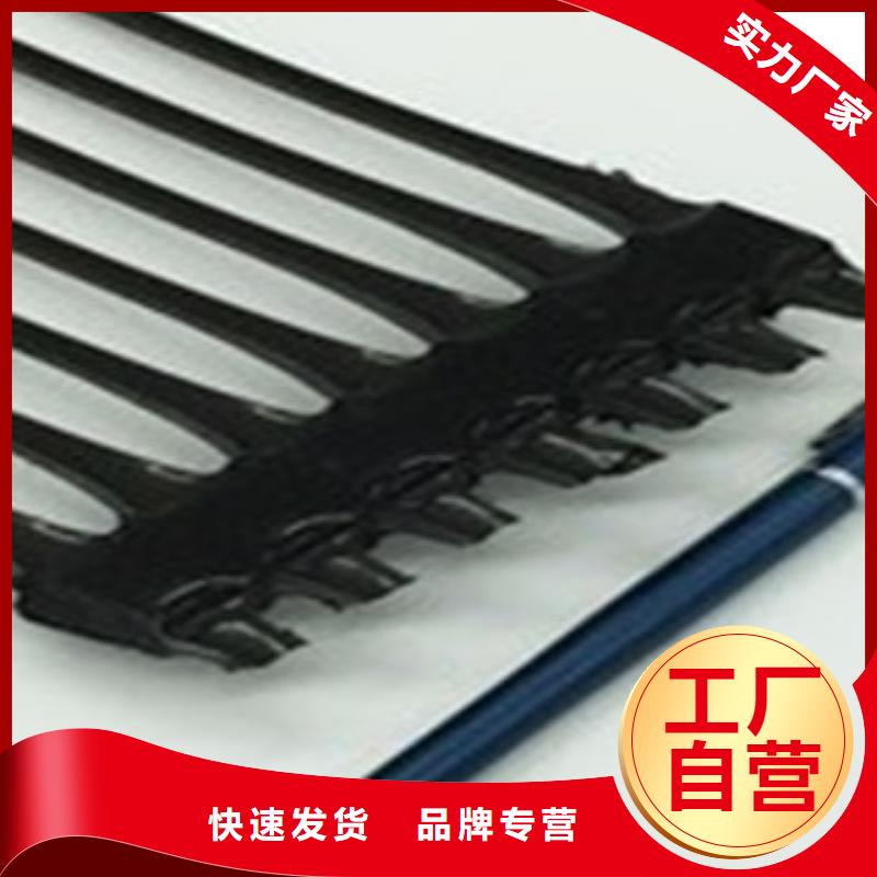 单向塑料格栅玻纤土工格栅优选好材铸造好品质