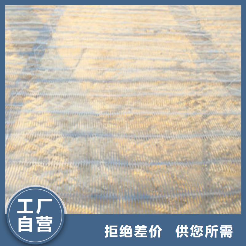 单向塑料格栅防裂贴抗裂贴实时报价