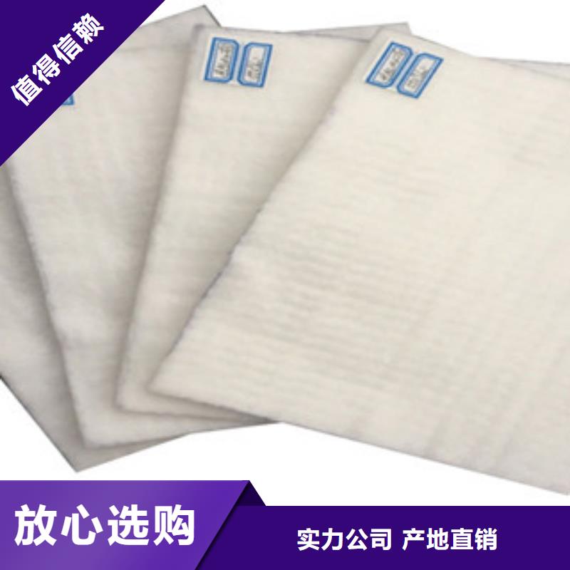 土工布膨润土防水毯一站式厂家
