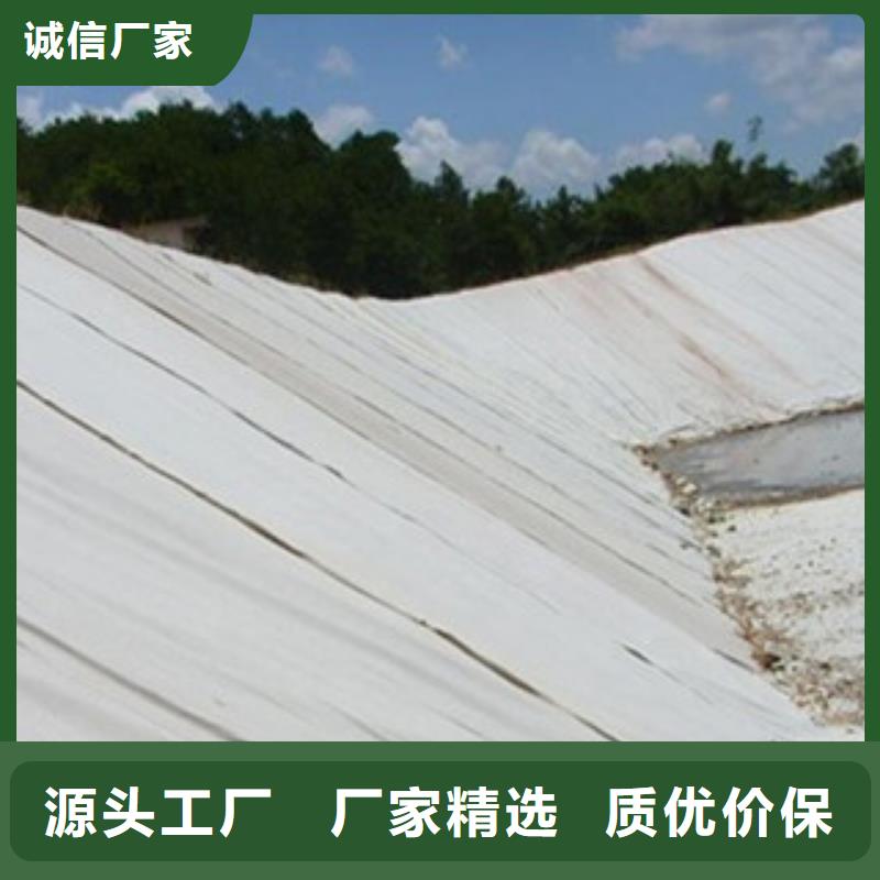 土工布三维植被网让客户买的放心
