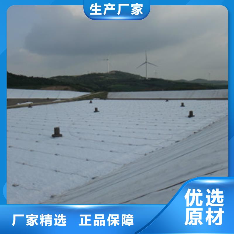 土工布塑料土工格栅品牌专营