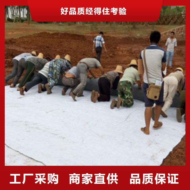 膨润土防水毯_防裂贴抗裂贴今年新款