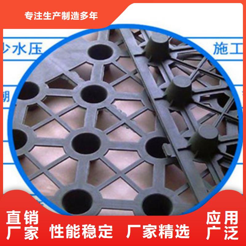 塑料排水板钢塑土工格栅厂家规格全