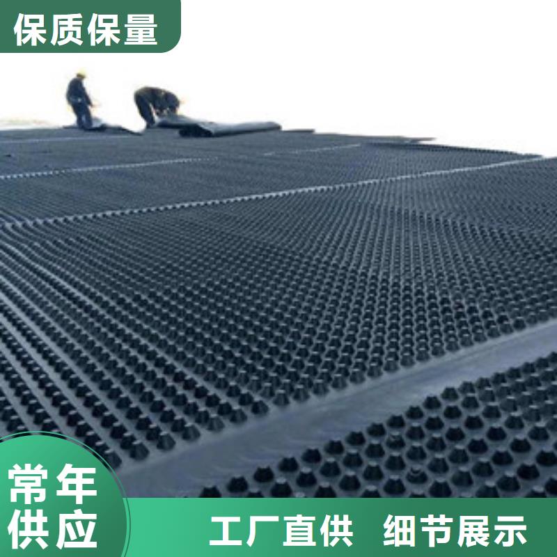 塑料排水板钢塑土工格栅厂家规格全