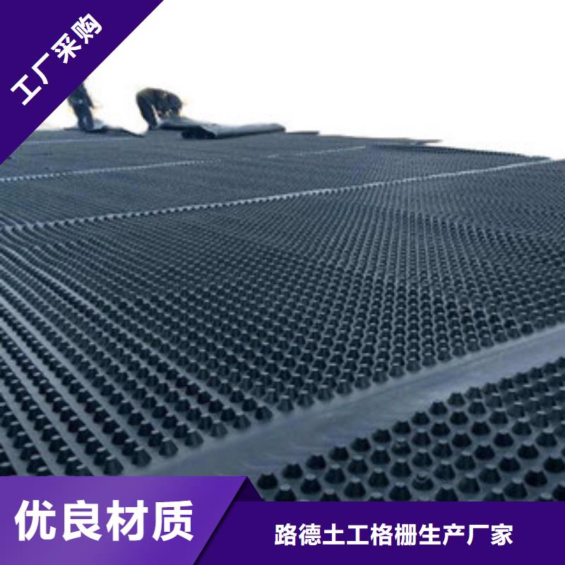 塑料排水板钢塑土工格栅厂家规格全
