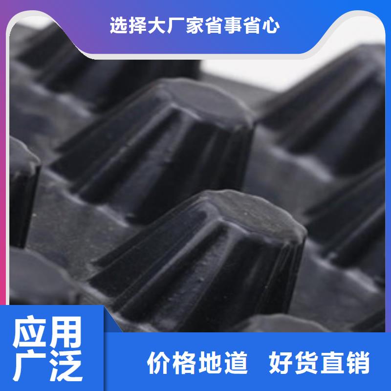 塑料排水板塑料土工格栅源头直供