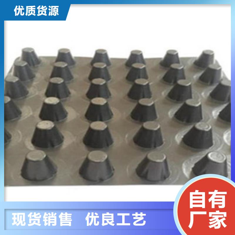 塑料排水板钢塑土工格栅厂家规格全