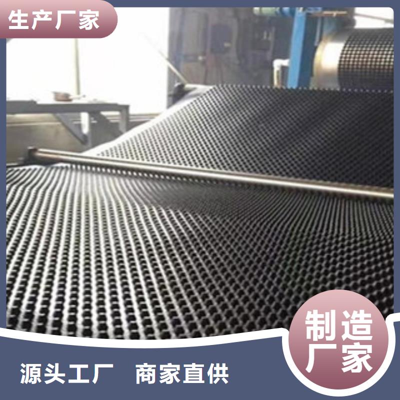 塑料排水板钢塑土工格栅厂家规格全