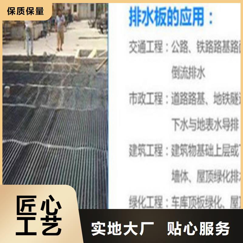 塑料排水板三维植被网源厂直销