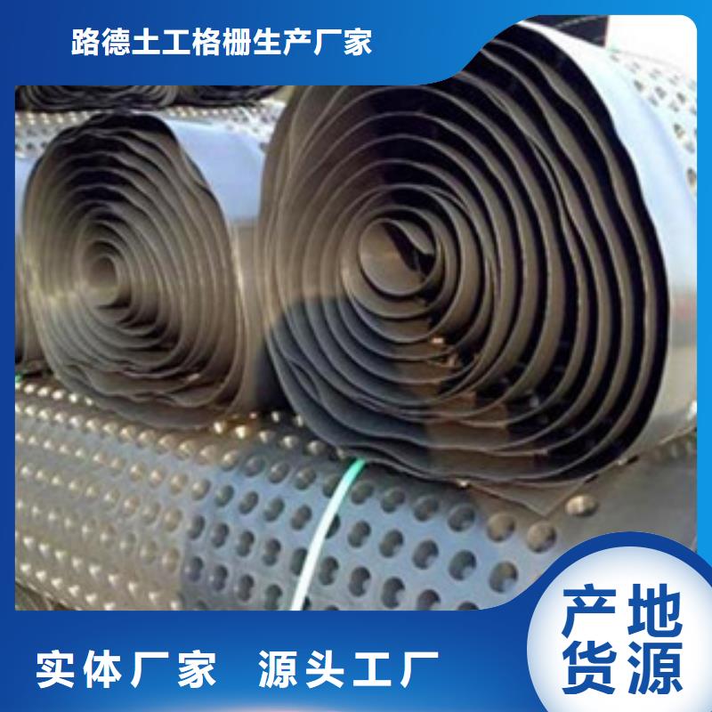 塑料排水板三维植被网源厂直销