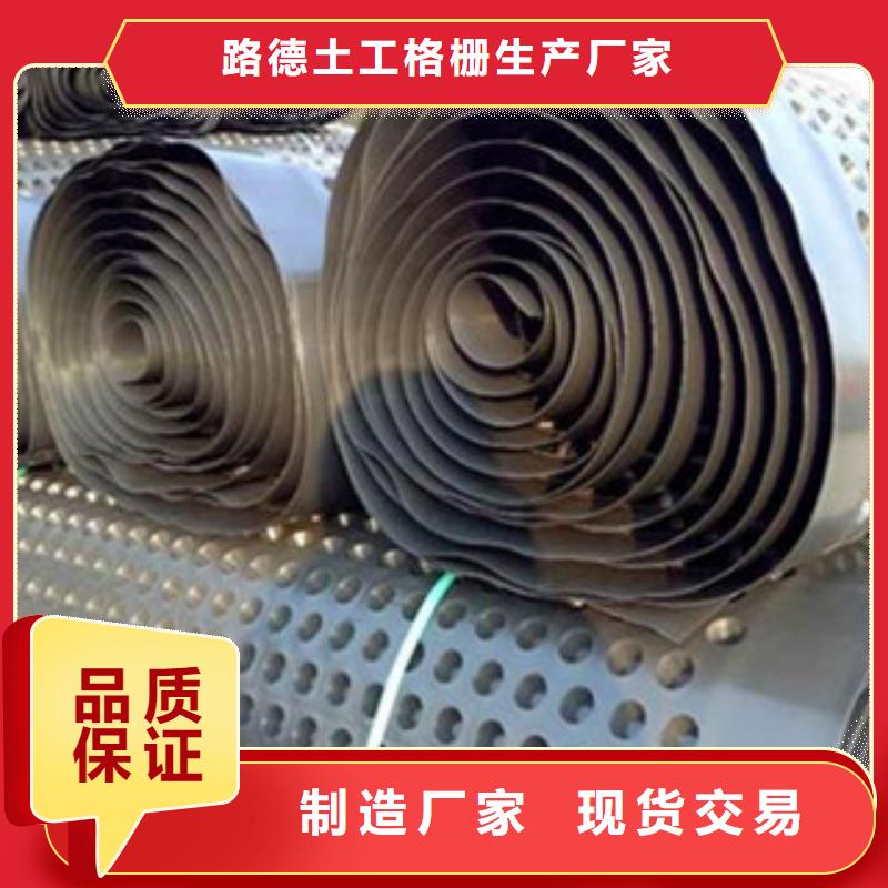 塑料排水板塑料土工格栅多年经验值得信赖