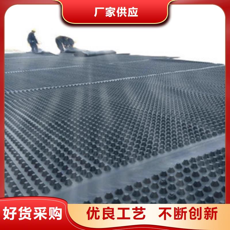 塑料排水板钢塑土工格栅厂家规格全