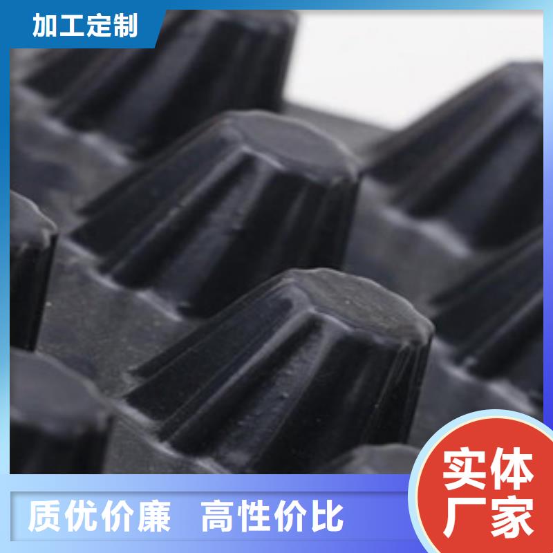 塑料排水板钢塑土工格栅厂家规格全