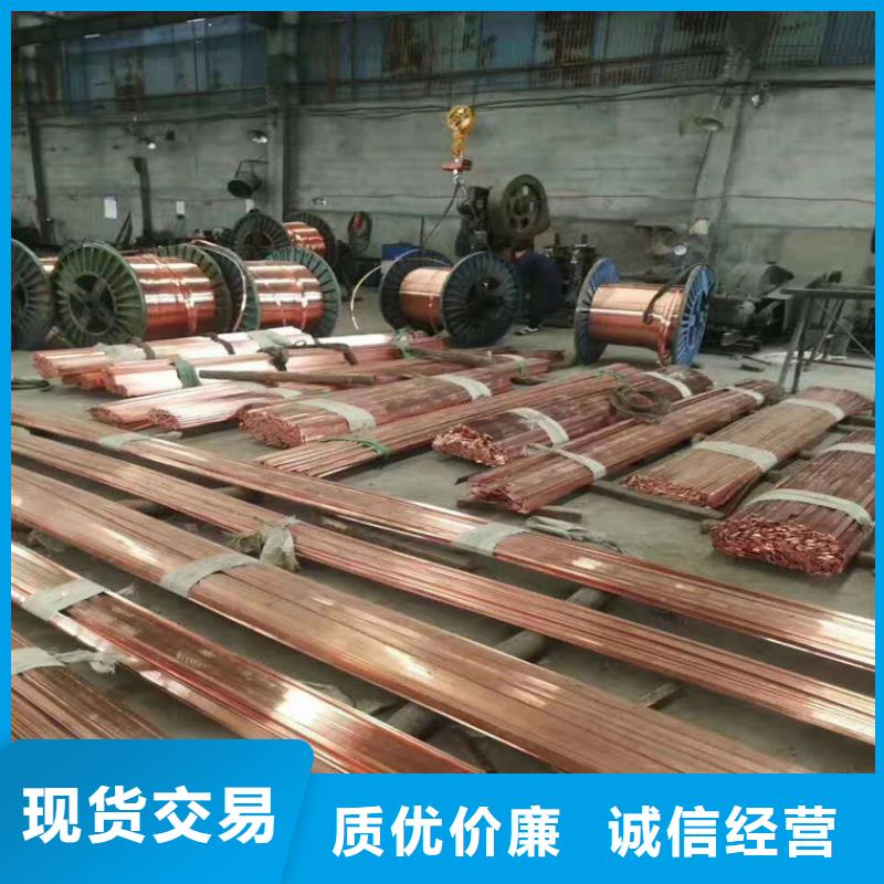 【 紫铜排_铜绞线产品细节】-服务范围包括岳麓|芙蓉|娄底|永州|湘潭|湘西等