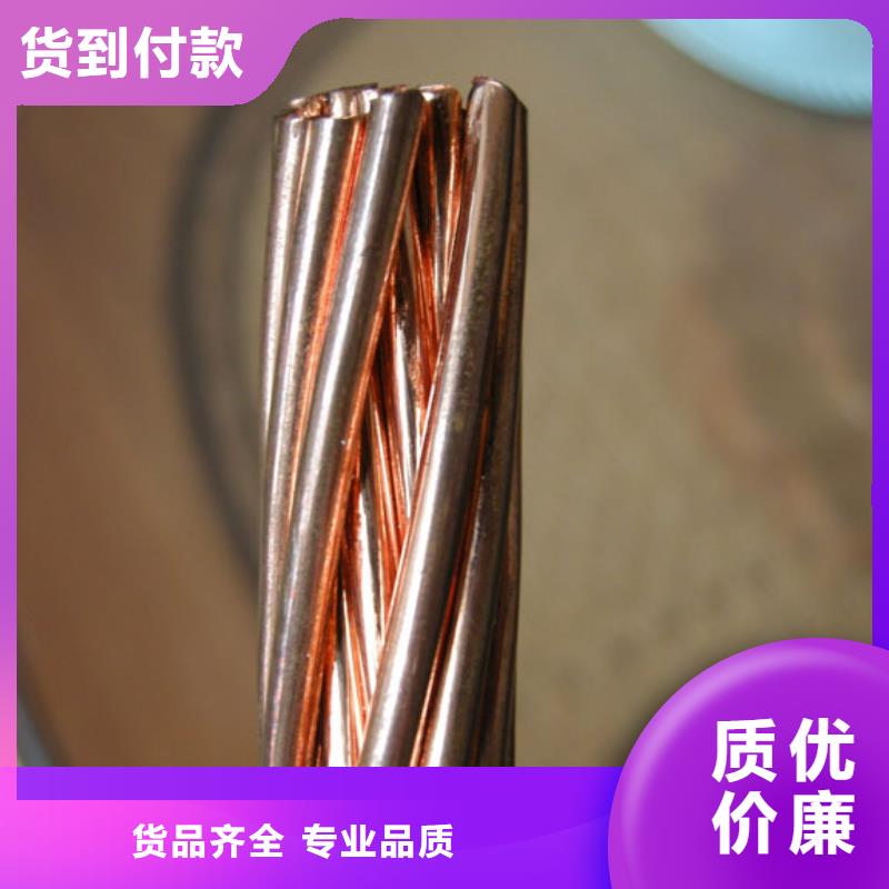 【就近发货铜绞线 紫铜排品质商家】辰昌盛通黄铜板