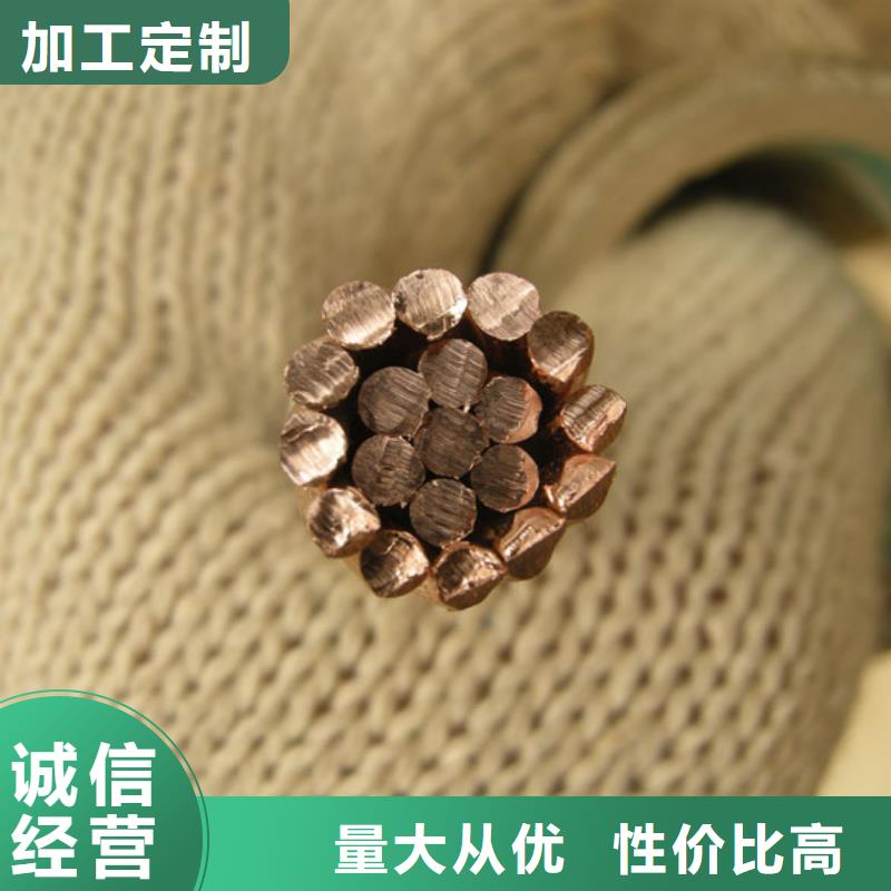 【铜绞线 紫铜排品质商家】-市场覆盖|越西|金阳|眉山|内江|乐山|自贡|南充|遂宁|雅安-通金宝