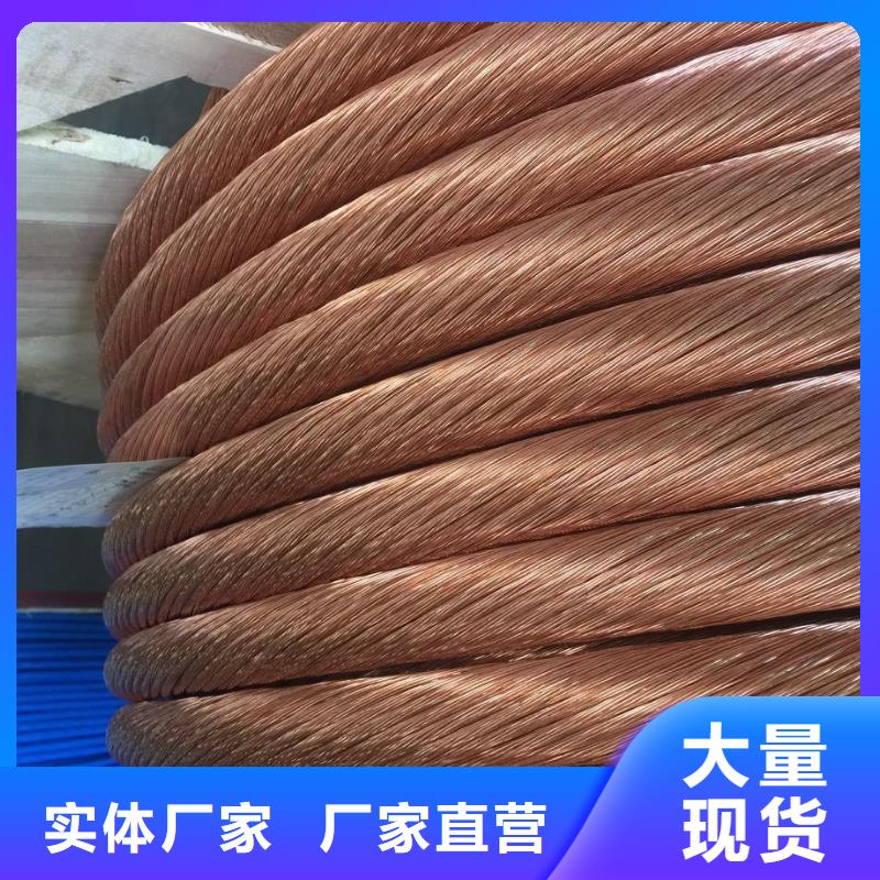 【原厂制造铜绞线,镀锡铜绞线满足多种行业需求】通金宝