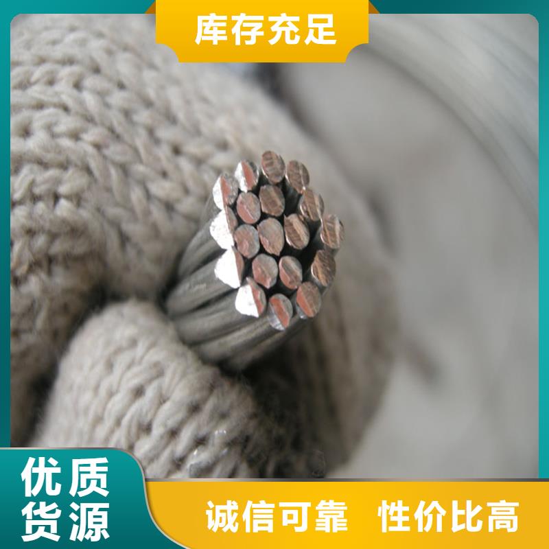 【原厂制造铜绞线,镀锡铜绞线满足多种行业需求】通金宝