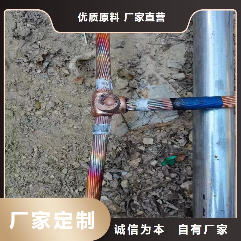 【原厂制造铜绞线,镀锡铜绞线满足多种行业需求】通金宝