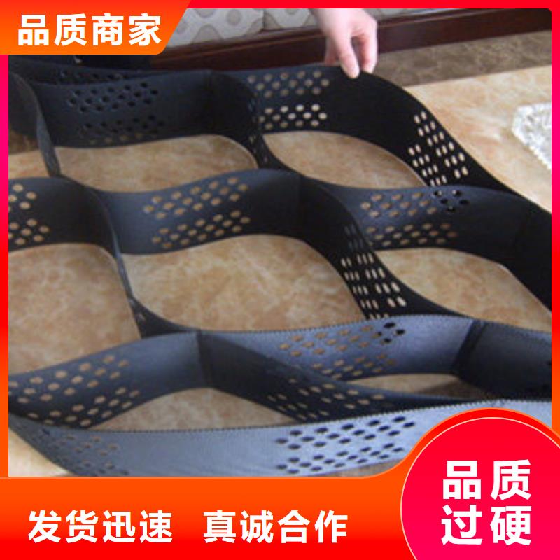 蜂巢格室钢塑格栅专注品质