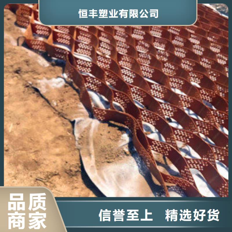 蜂格护坡蜂巢格室、蜂格护坡蜂巢格室厂家直销-价格合理