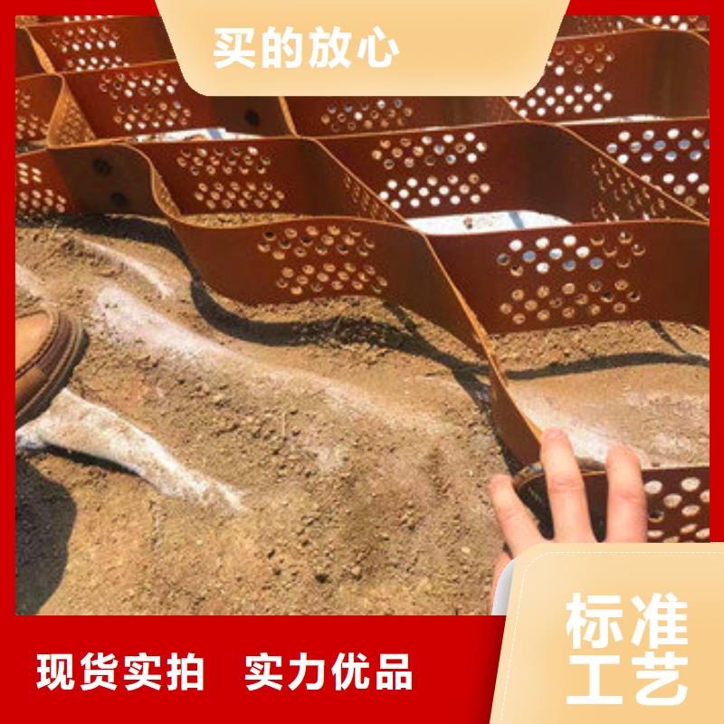 蜂巢格室,土工格室优选好材铸造好品质