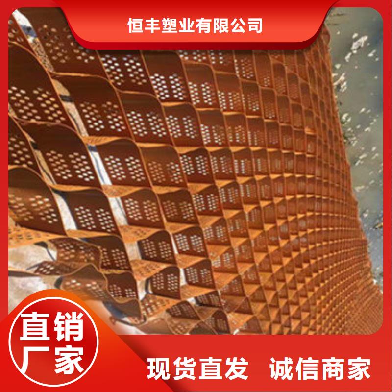 蜂巢格室_钢塑格栅品质优选