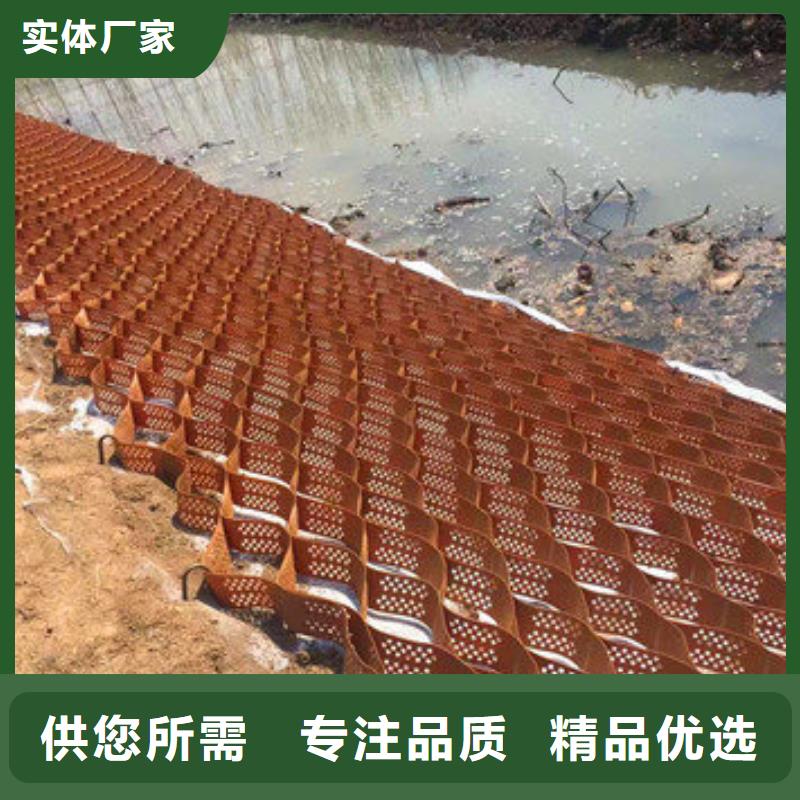 蜂巢格室拉筋带甄选好厂家