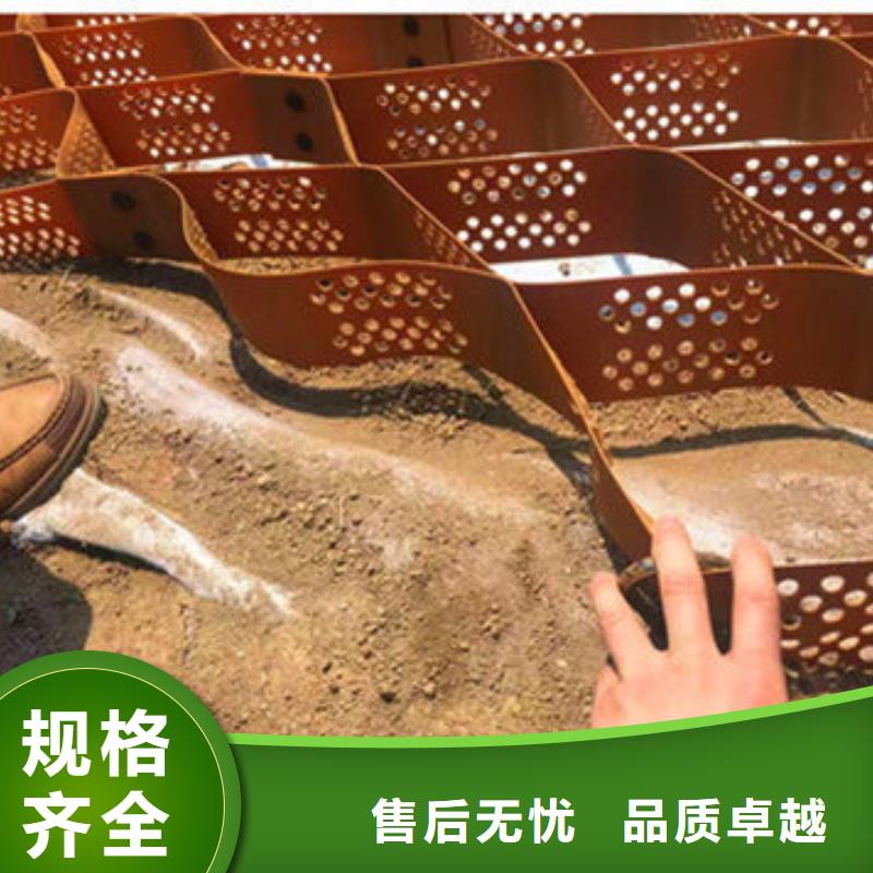 蜂巢格室 土工格室设备齐全支持定制