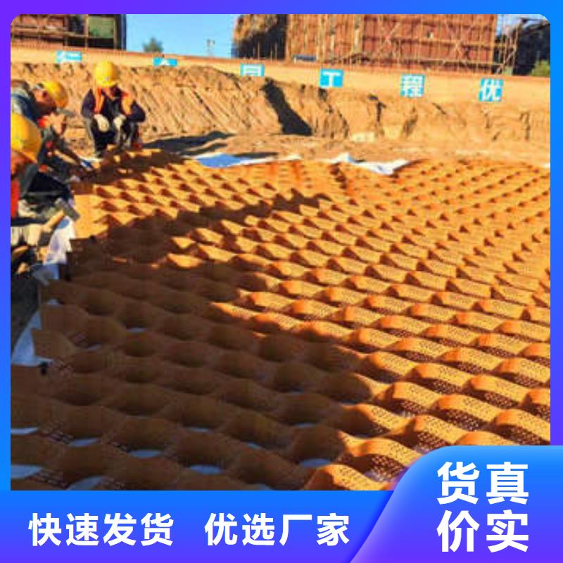 蜂巢格室蜂格网源头直供