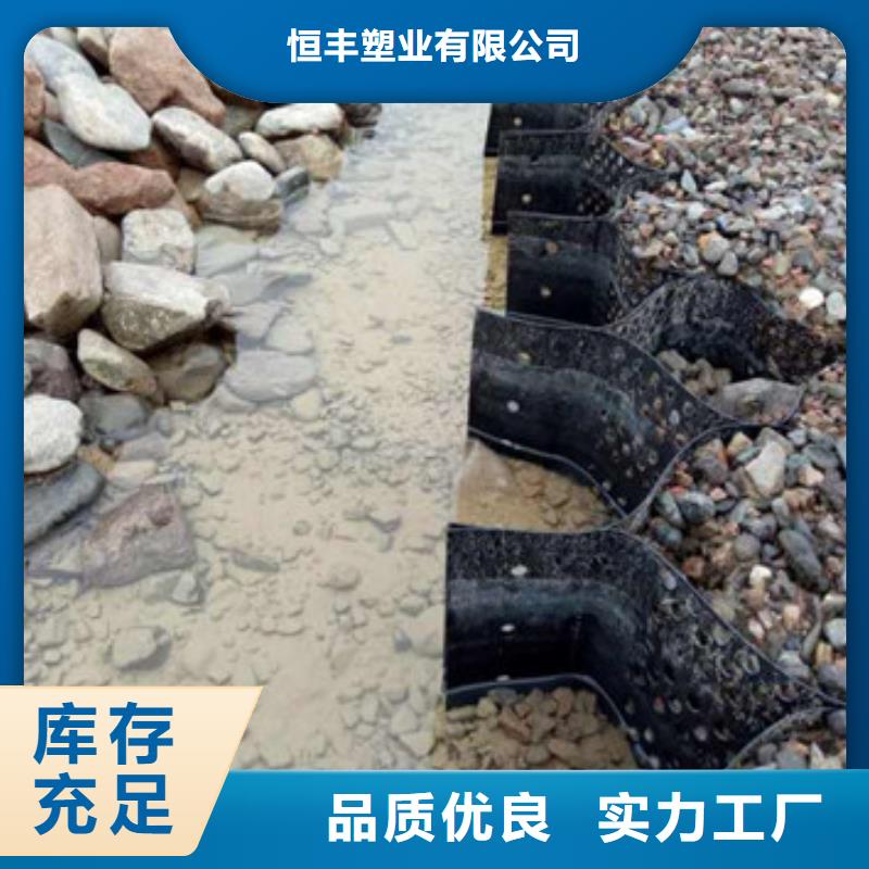 蜂巢格室拉筋带甄选好厂家