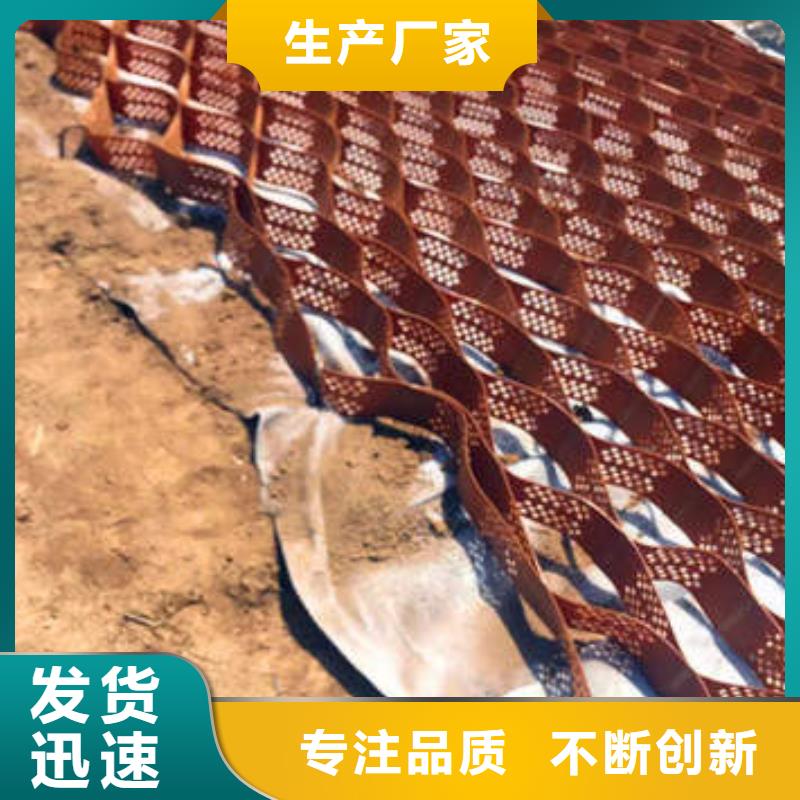 蜂巢格室塑料土工格栅优质材料厂家直销