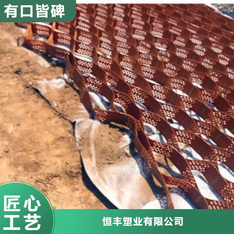 蜂巢格室塑料盲沟物流配货上门
