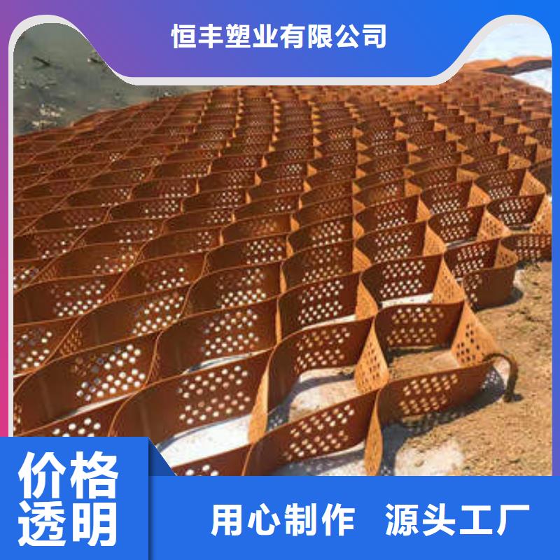 蜂巢格室 双向塑料土工格栅客户信赖的厂家