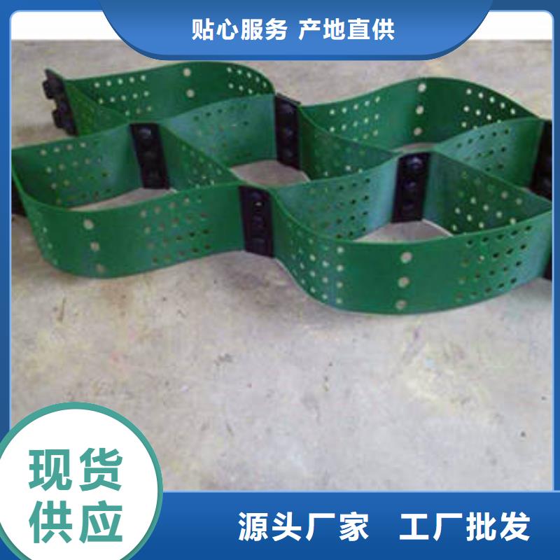 蜂巢格室土工布专业生产团队