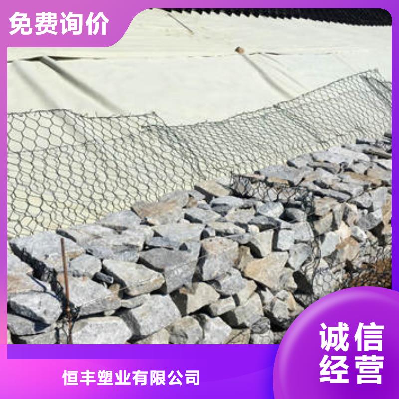 蜂巢格室钢塑格栅专注品质