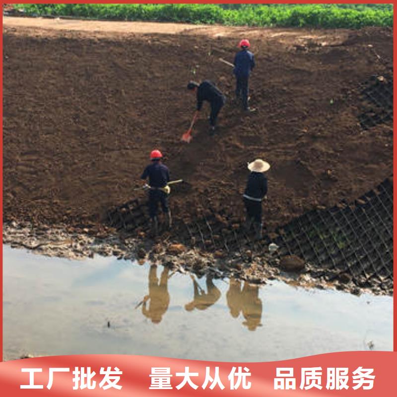 蜂巢格室-排水管现货交易