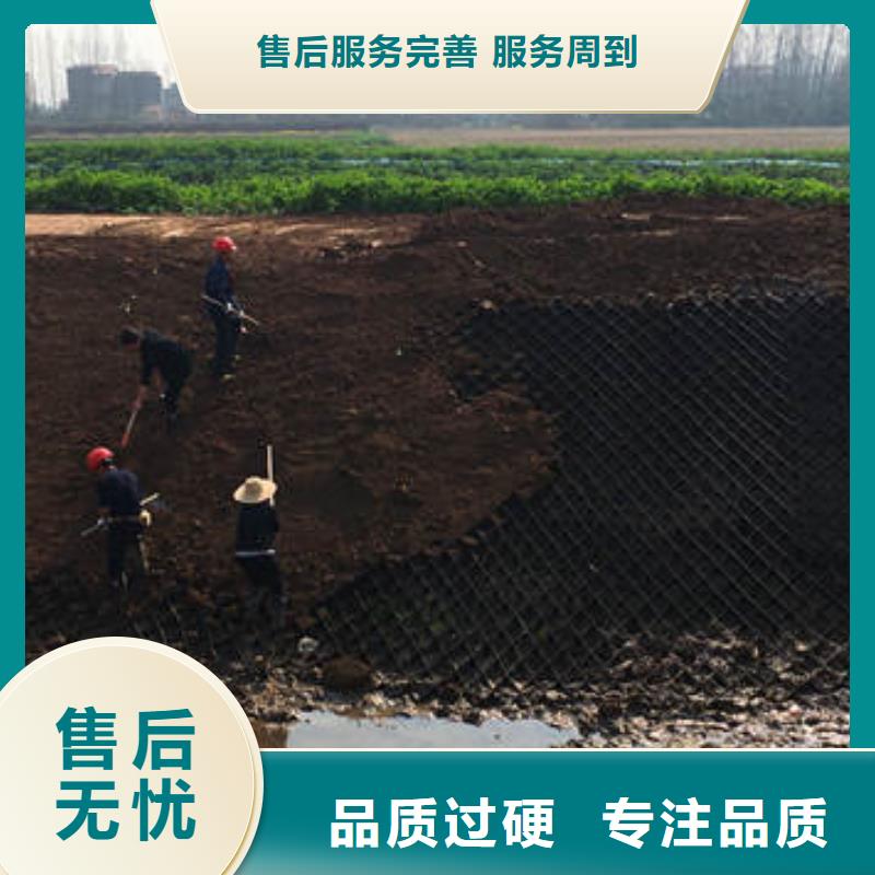 蜂巢格室护坡价格品质商家