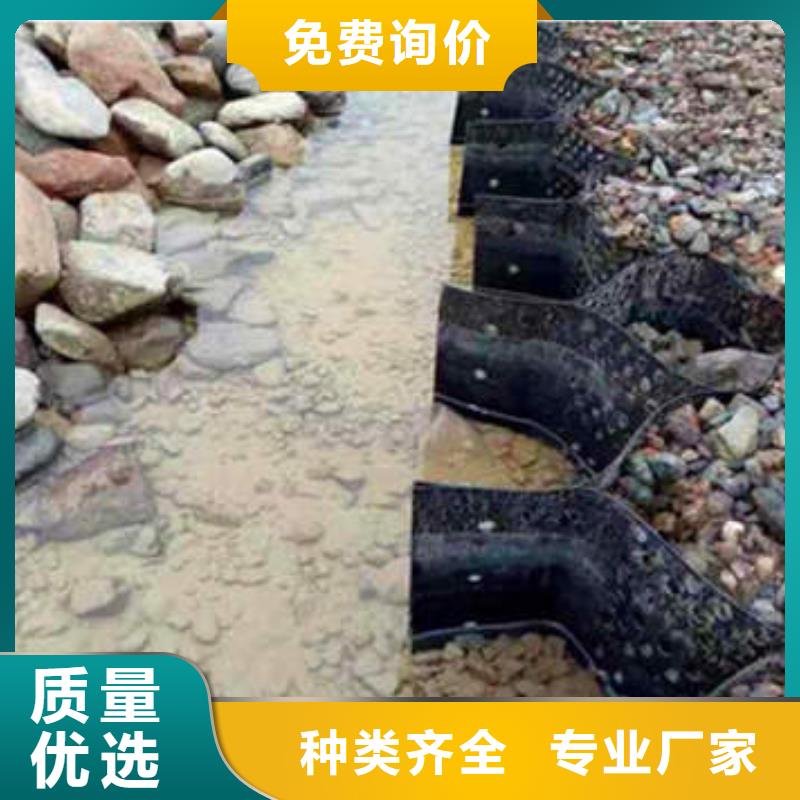 蜂巢约束系统供货商