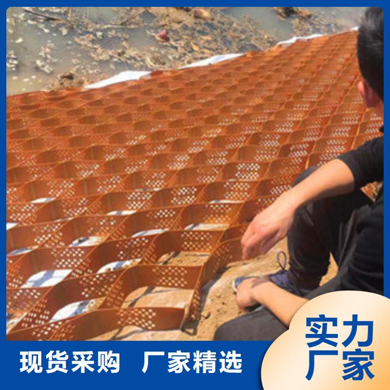 蜂巢格室优选厂家