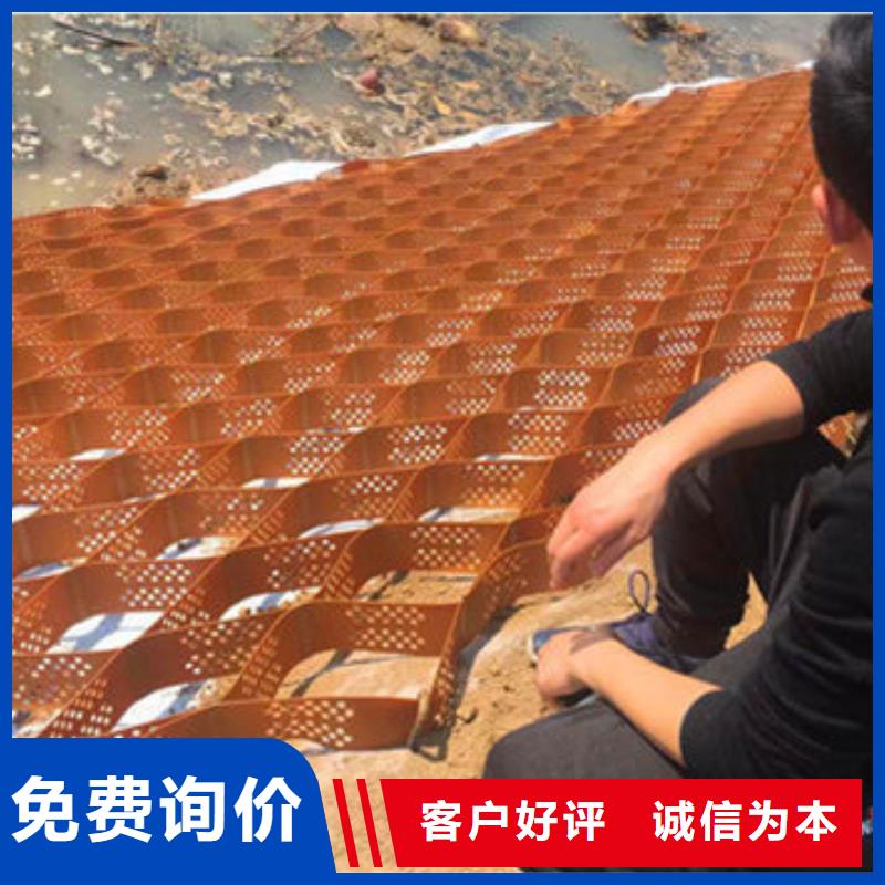 阜平蜂巢格室来厂考察，来厂考察