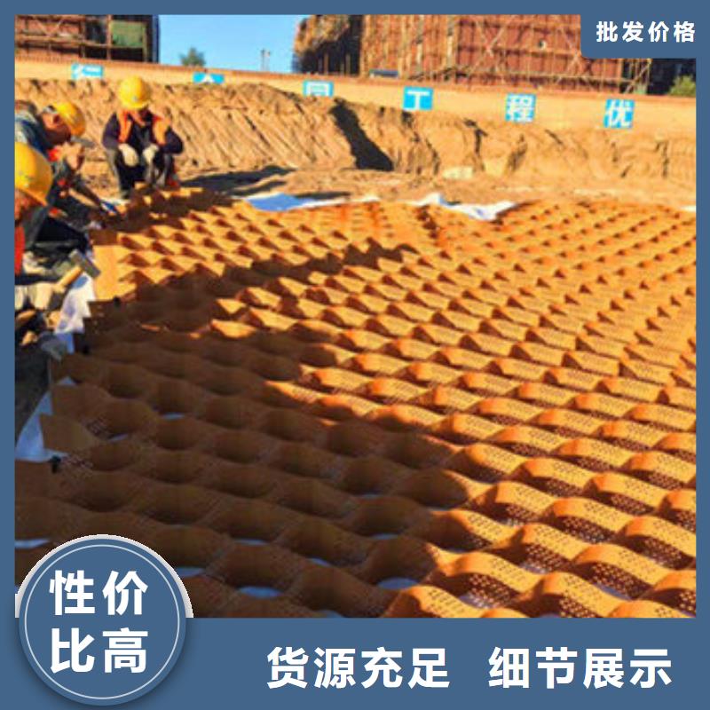 蜂巢格室 双向塑料土工格栅客户信赖的厂家
