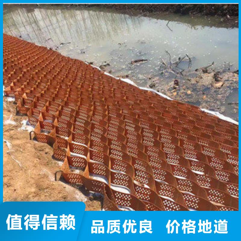 蜂巢格室钢塑格栅专注品质