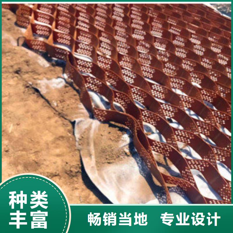 蜂巢格室塑料土工格室实力公司