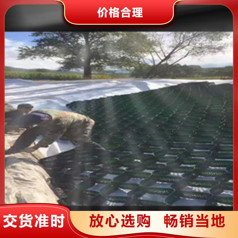 蜂巢格室,蜂巢土工格室实力厂家直销